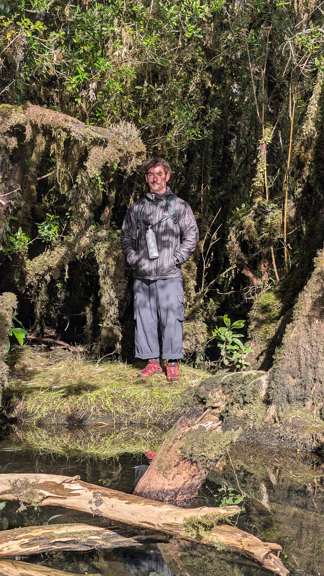 Martín Jiménez, artista y diseñador chileno de arte paramétrico, en el bosque