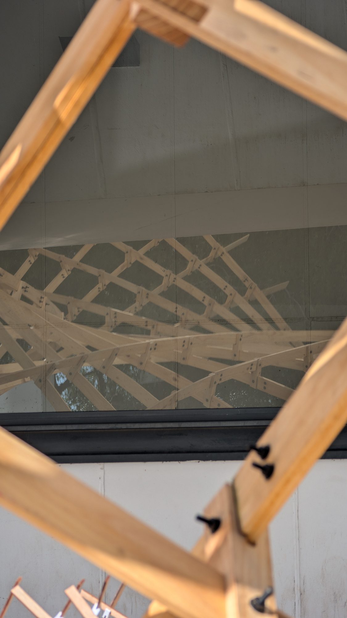 Pabellón paramétrico de madera (gridshell) construido en comunidad, proyecto de magíster de Martín Jiménez.